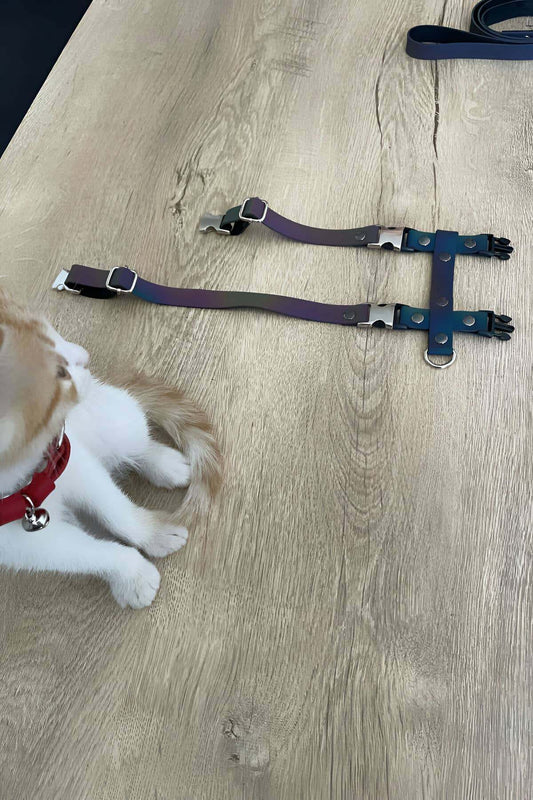 Reflector  Leather Pet  Harness|Dog , Cat Harness | Pet  Reflector Harness